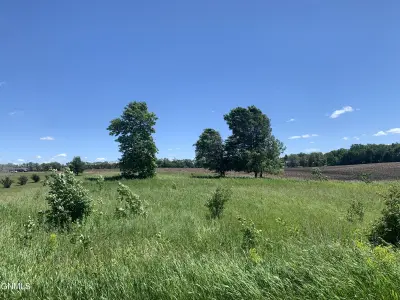 img11